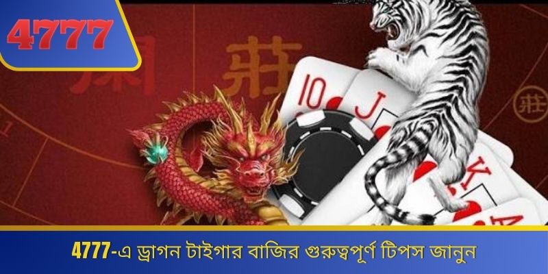 4777-এ ড্রাগন টাইগার বাজির গুরুত্বপূর্ণ টিপস জানুন 