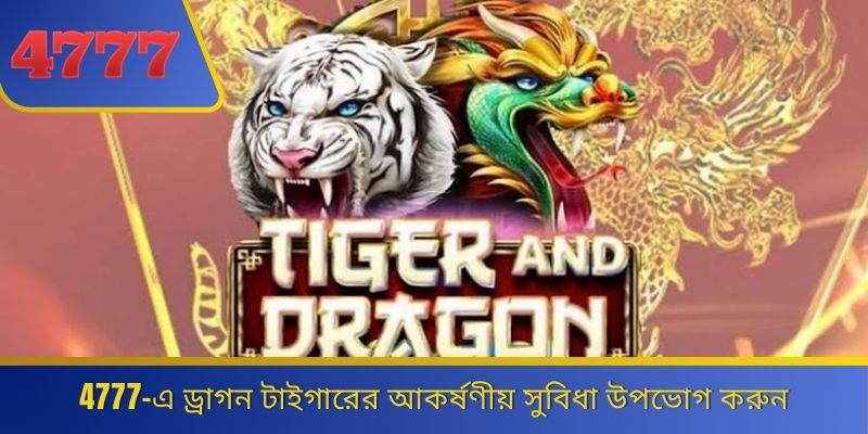 4777-এ ড্রাগন টাইগারের আকর্ষণীয় সুবিধা উপভোগ করুন 